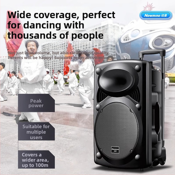 Neumann B12 Ārējais Karaoke skaļrunis, 2 skaļruņi, Bluetooth 5.0, iekšēja akumulatora jauda 2000–4000mAh, 30W