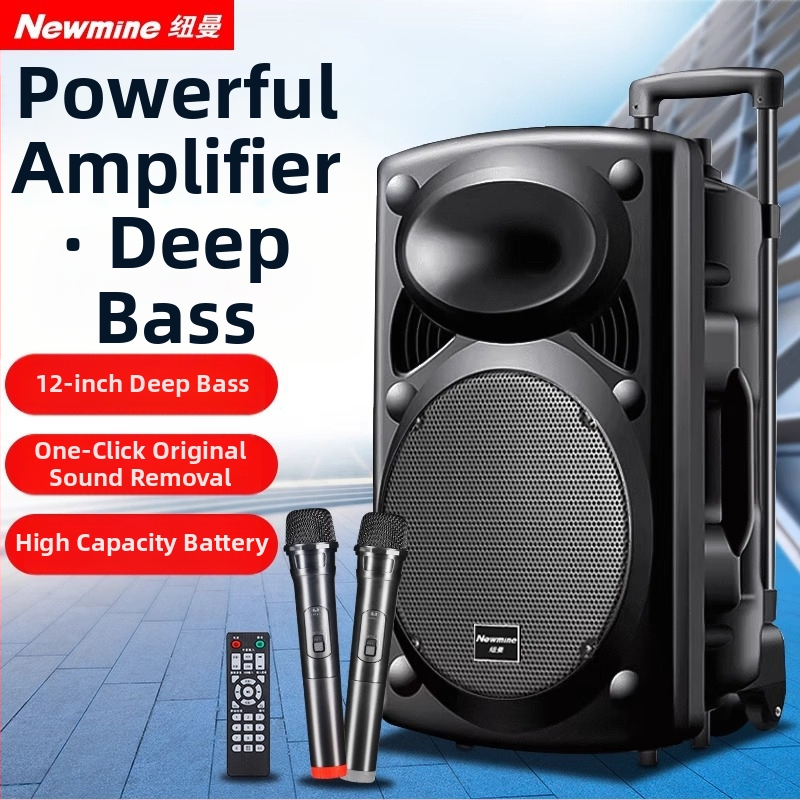 Neumann B12 Ārējais Karaoke skaļrunis, 2 skaļruņi, Bluetooth 5.0, iekšēja akumulatora jauda 2000–4000mAh, 30W