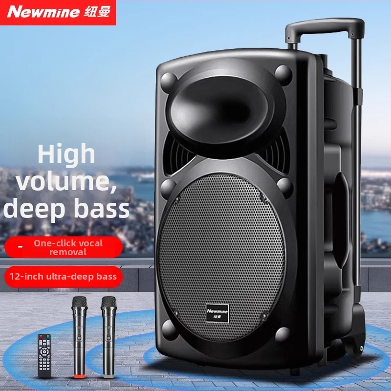 Neumann B12 Ārējais Karaoke skaļrunis, 2 skaļruņi, Bluetooth 5.0, iekšēja akumulatora jauda 2000–4000mAh, 30W