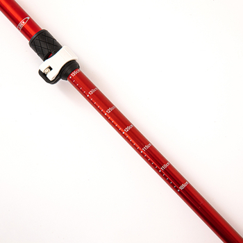 Žygio lazda, aliuminio lydinys, 280 g, modelis 68-135, unisex