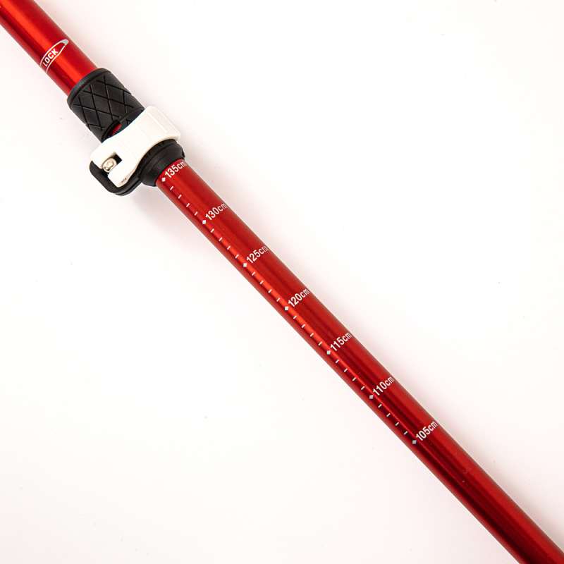 Žygio lazda, aliuminio lydinys, 280 g, modelis 68-135, unisex