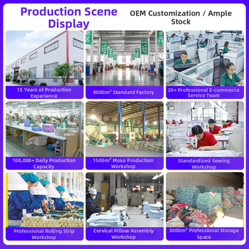 Elektrinis jūros druskos karšto kompreso maišelis namų naudojimui, 40–70°C, 100W, 220V, 2,2 kg, 1–12 režimų, juosmens/pečių/kelių apsauga