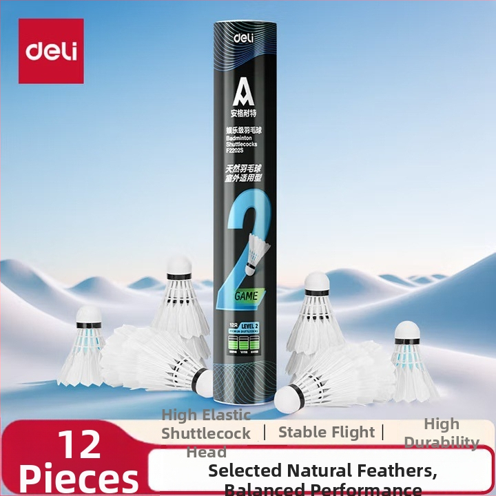 Deliangernet badminton raketė, 2 vnt., 95–100 g, tiesus smūgis, amatoriams ir jaunimui