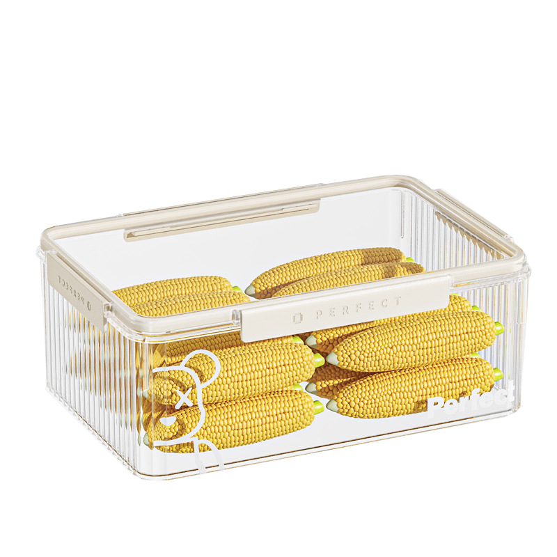 Plastikinė šaldytuvo laikymo dėžė, Xingyou, Nordic stiliaus Crisper dėžutė, maisto kokybės, skaidri, sandari