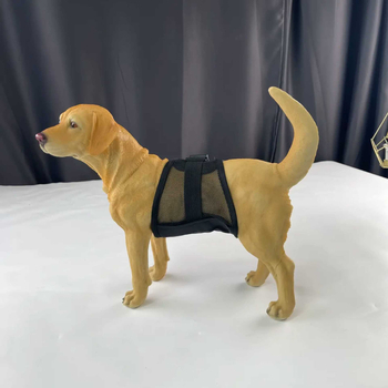 Šunų fiziologinės kelnaitės su kvėpuojančiu tinklu, skalbiamos, su šlapimo įdėklu, prieš nuotėkį