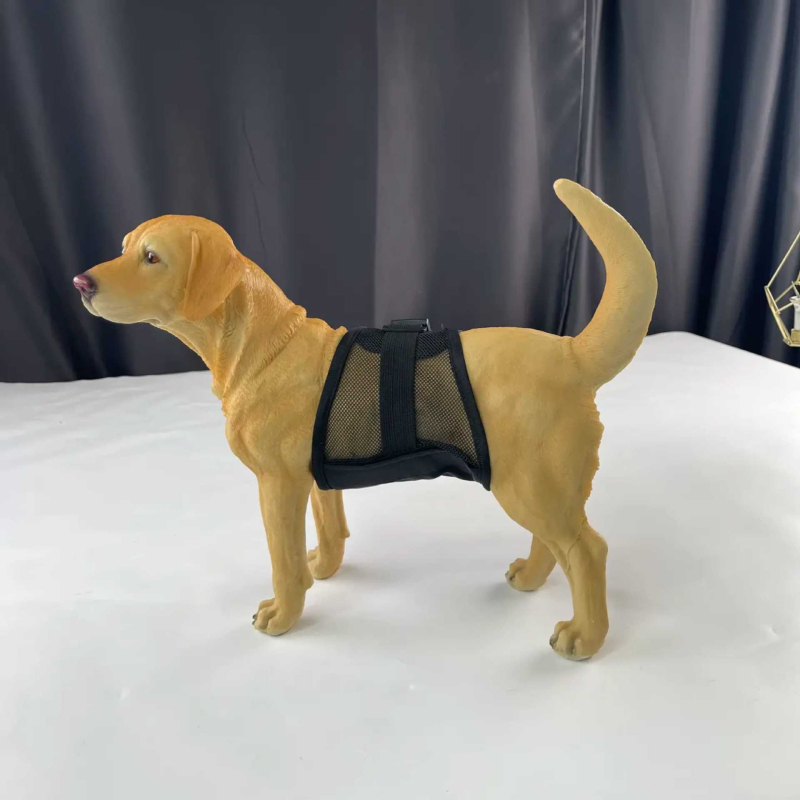 Šunų fiziologinės kelnaitės su kvėpuojančiu tinklu, skalbiamos, su šlapimo įdėklu, prieš nuotėkį