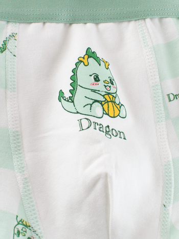 GRRR Fiúknak való pamut-Lycra boxer alsó, 4 darabos csomag, 95% pamut, 2024 nyár