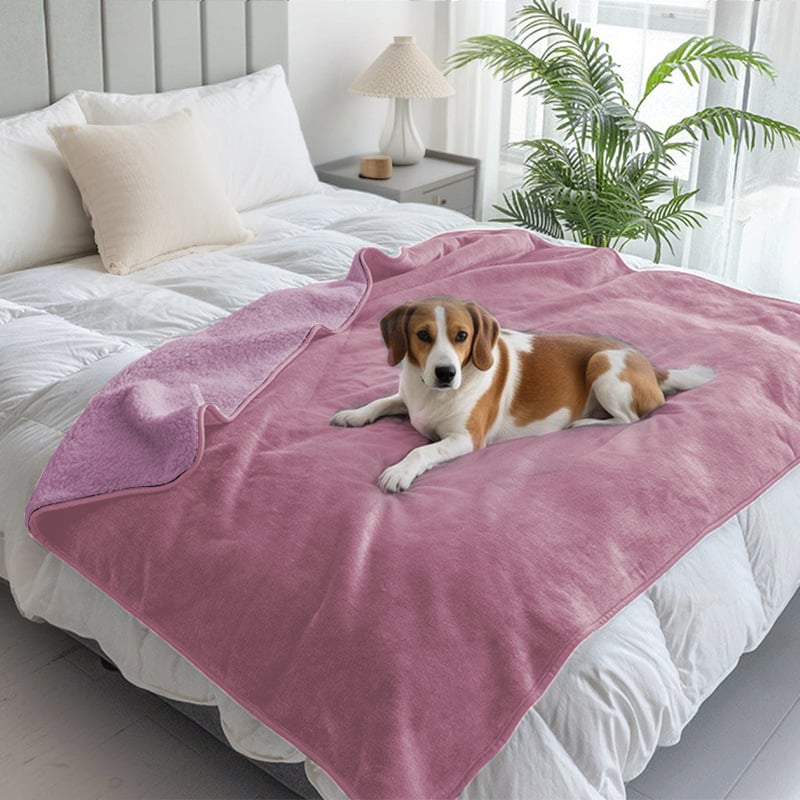 Háziállat takaró macskáknak és kutyáknak, vízálló, dupla rétegű flanel, egész éves meleg, egyszínű, 300–500 g poliészter