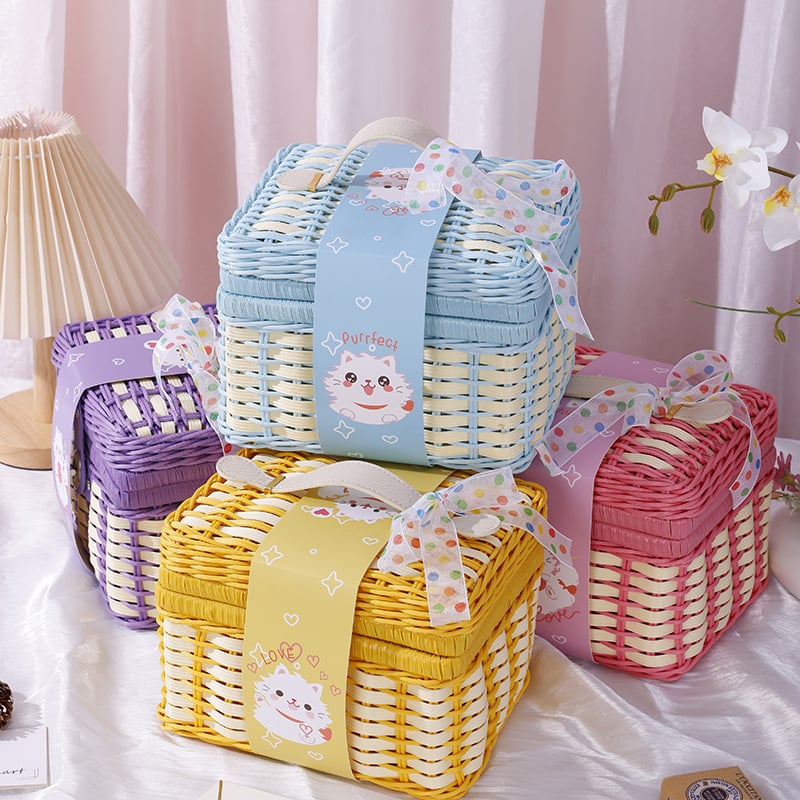 Dovanų dėžutė vaikų dienai su rotango rankena; medžiaga PP; dovanų įpakavimas; prekės ženklas Gain Wisdom