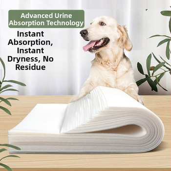 Vienreizējās lietošanas suņa urīna absorbcijas papīrs Teddy — urīnbarjera, netkants materiāls