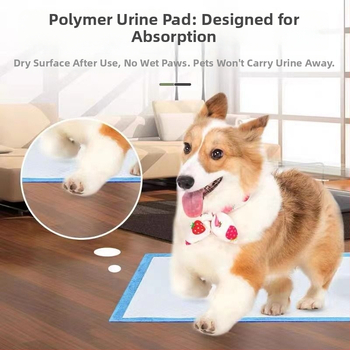 Kaķu un suni mācību paliktnis - absorbējošs, smaku neitralizēšana, nešūts materiāls