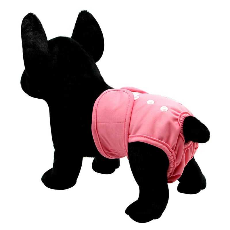 Higijenski psi hlačice za inkontinenciju i razdoblje – Bez uvoza, Podrijetlo: Drugo, Proljetno izdanje 2025