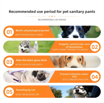 Fiziologinės kelnės - ekologiškai draugiškas perdirbtas audinys / poliesteris, skalbiamos, europietiško- Amerikos stiliaus, moterims, prekės ženklas: Bablonrabi/Babylon Raby