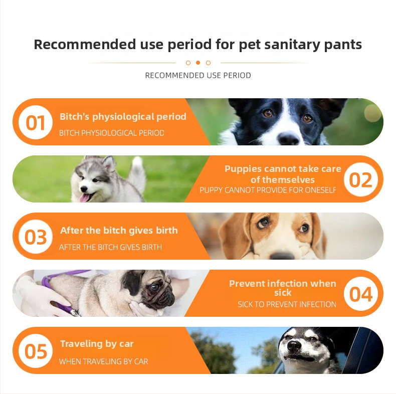 Fizioloģiskās bikses - videi draudzīgs reciklēts audums / poliesters, mazgājamas, Eiropas–Amerikas stils, sievietēm, zīmols: Bablonrabi/Babylon Raby
