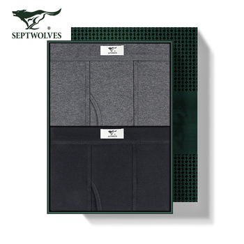 Vyrų terminės kelnaitės, 2 vnt komplektas — 100% medvilnė, pagrindinis sluoksnis, vidutinio svorio 161–180 g/m², raštai: vienspalviai, gyvūnų, geometriniai