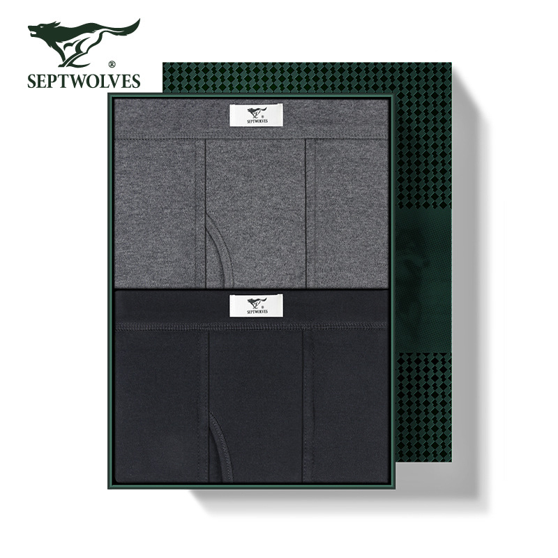 Vyrų terminės kelnaitės, 2 vnt komplektas — 100% medvilnė, pagrindinis sluoksnis, vidutinio svorio 161–180 g/m², raštai: vienspalviai, gyvūnų, geometriniai