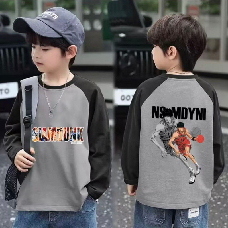 Berniukų marškinėliai su ilgomis rankovėmis iš 100% medvilnės, raglan spalvų blokai, apvalus kaklas, animacinis raštas, drėgmės valdymas, amžius 3–14 m