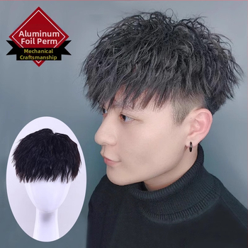 Meeste parukas – Korea stiilis foil-perm lokid, tõelised inimjuuksed, otsmiku juuksepikendus, loomulik välimus