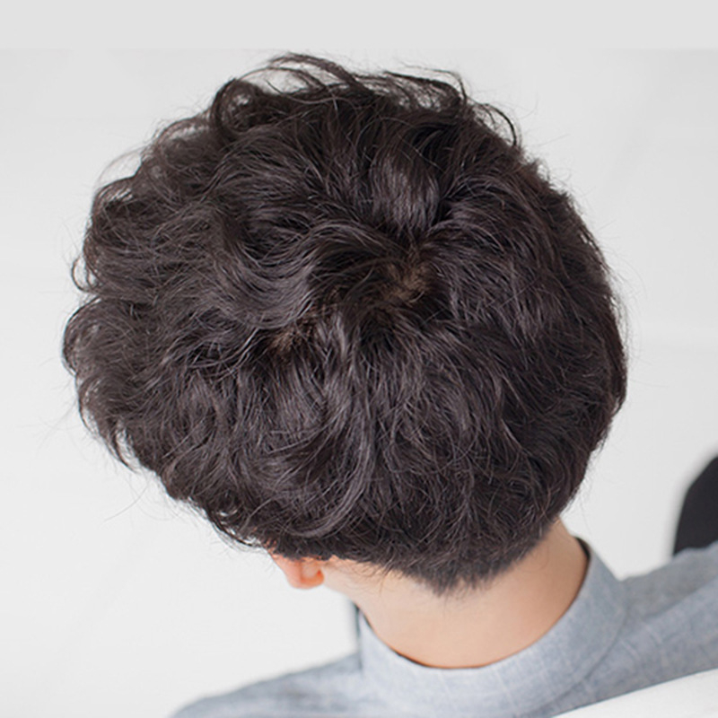 Pánska parochňa, kórejský štýl, krátke kučeravé vlasy, nadýchaný realistický vzhľad, vlákna odolné voči teplu, model 8824