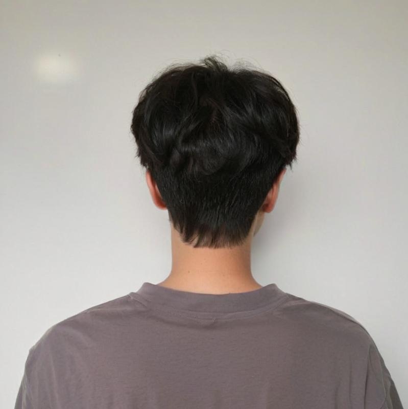 Perucă pentru bărbați, păr scurt drept, breton central | Fibre termice rezistente la temperatură, poate fi vopsită, Model 200