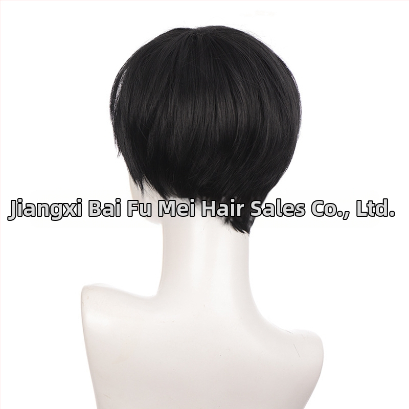 Vyrų paruka, trumpi tiesūs plaukai, aukštos temperatūros sintetinis pluoštas, įmanoma dažyti, įtikinamas įvaizdis