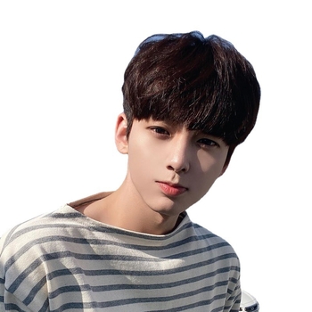 Pánska parochňa, krátke vlasy, korejský štýl, model 288, materiál: domáce hodvábne vlákno, spracovanie: mechanizmus, možné farbenie, modifikácia tvaru tváre