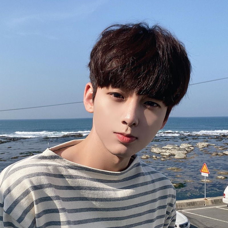 Pánska parochňa, krátke vlasy, korejský štýl, model 288, materiál: domáce hodvábne vlákno, spracovanie: mechanizmus, možné farbenie, modifikácia tvaru tváre