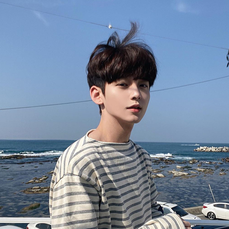 Pánska parochňa, krátke vlasy, korejský štýl, model 288, materiál: domáce hodvábne vlákno, spracovanie: mechanizmus, možné farbenie, modifikácia tvaru tváre