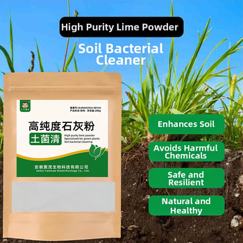 Kaltsiumoksiidi pulber kodumajam desinfitseerimiseks, kuivatamiseks ning niiskuse ja hallituse kaitseks, 200 g pakendis