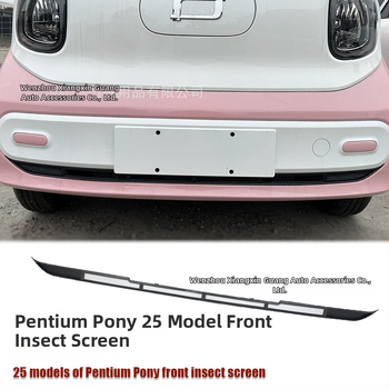 ABS Priekinė apatinė vabzdžių tinklas 25 Pentium Pony modeliams su anglies pluošto apdaila