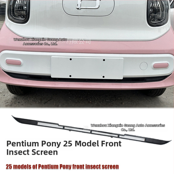 ABS Priekinė apatinė vabzdžių tinklas 25 Pentium Pony modeliams su anglies pluošto apdaila