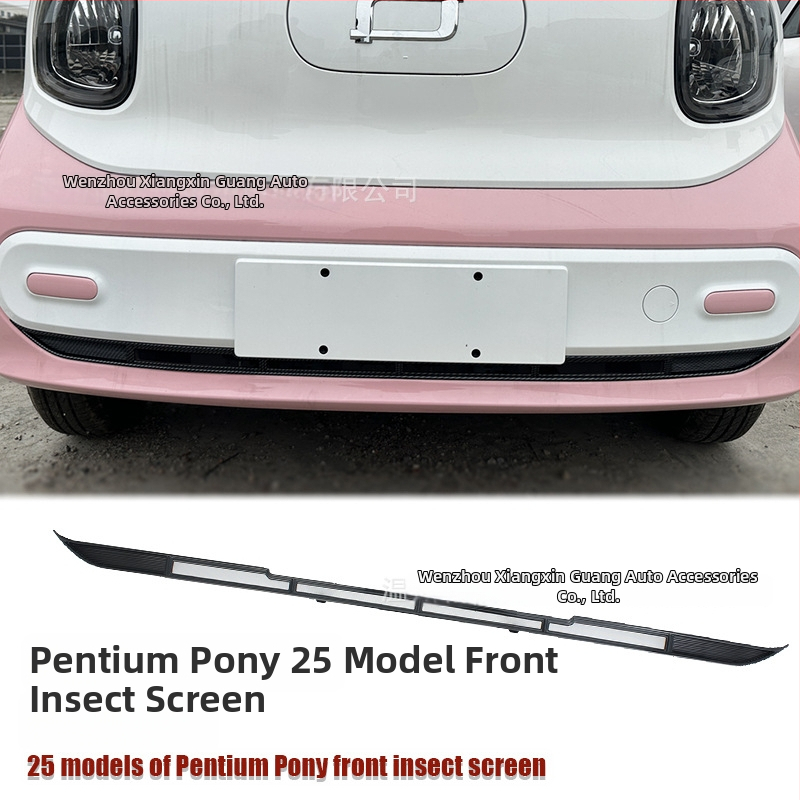 ABS Priekinė apatinė vabzdžių tinklas 25 Pentium Pony modeliams su anglies pluošto apdaila