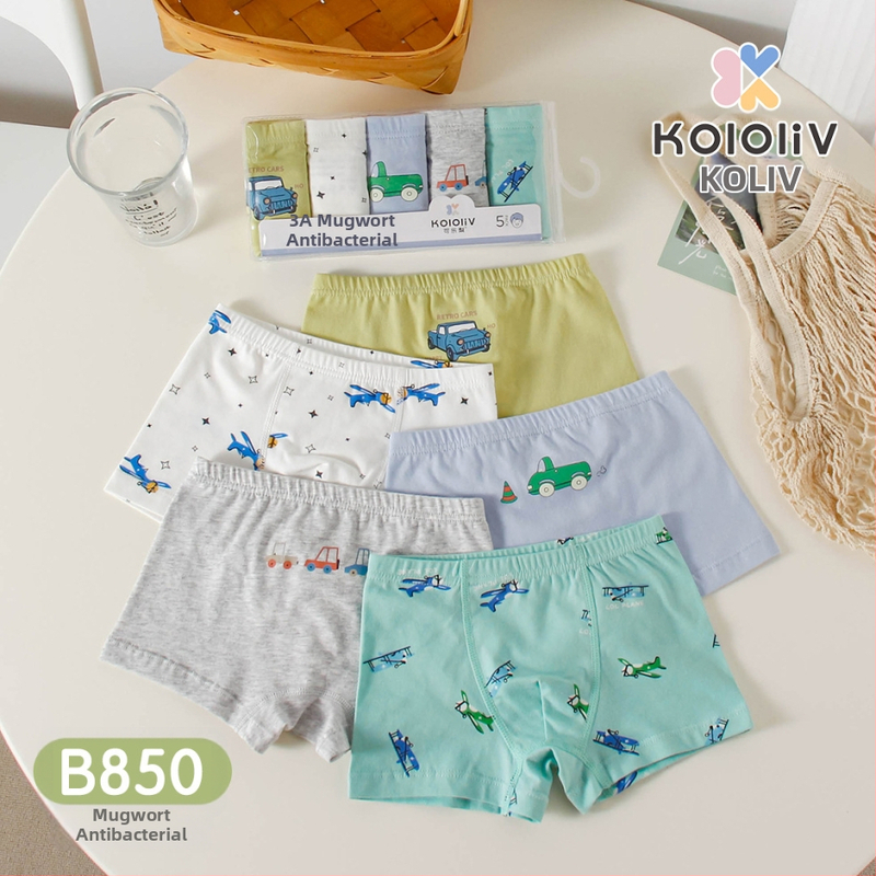 Berniukų 100% medvilnės boxeriai, Klase A, 8+ metų (virš 140 cm), pavasaris 2024