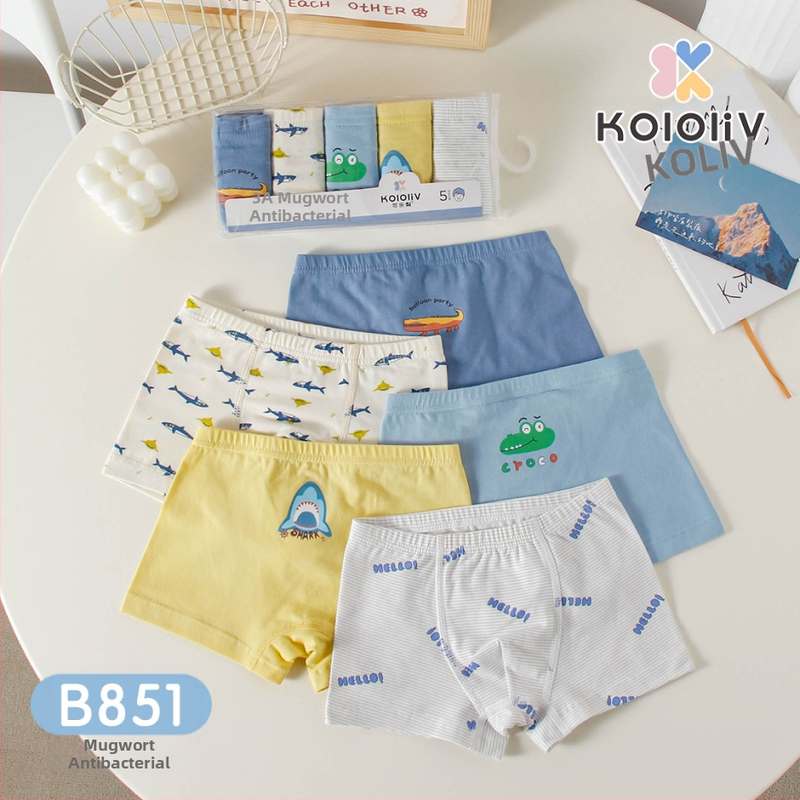 Berniukų 100% medvilnės boxeriai, Klase A, 8+ metų (virš 140 cm), pavasaris 2024