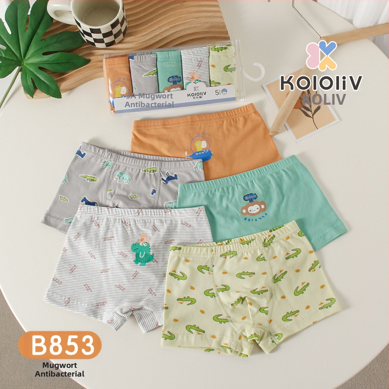 Berniukų 100% medvilnės boxeriai, Klase A, 8+ metų (virš 140 cm), pavasaris 2024