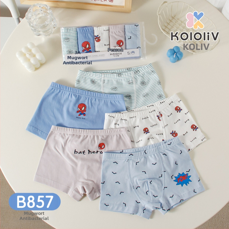 Berniukų 100% medvilnės boxeriai, Klase A, 8+ metų (virš 140 cm), pavasaris 2024