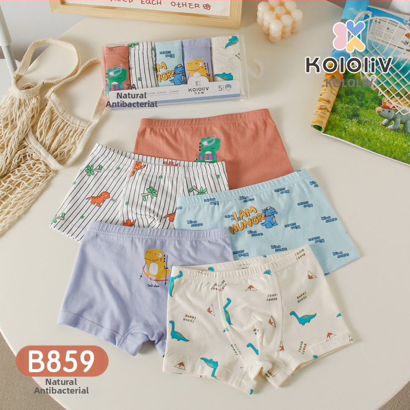 Berniukų 100% medvilnės boxeriai, Klase A, 8+ metų (virš 140 cm), pavasaris 2024