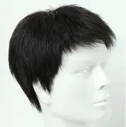 Meeste täispealne parukas tõelise juuksega, CP9002, töötlemise mehhanism, lühike pikkus, võib värvida ja permida