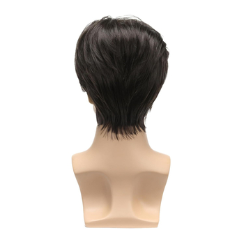 Мъжка перука, модел M590, къса коса, термоустойчива нишка, механично обработена, не е подходяща за къдрене и боядисване