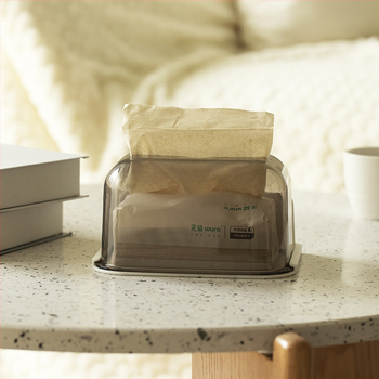 Kahekülgne seina paigaldatav salvrätikukarp, plastikust, eemaldatavate salvrätikutega, sobib elutoas ja vannitoas, keskmine mudel, modernne minimalistlik stiil