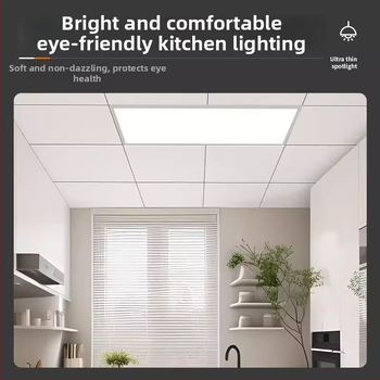 LED plokščias panelės šviesa, P02, 220V, CRI 80, aliuminio lydinys