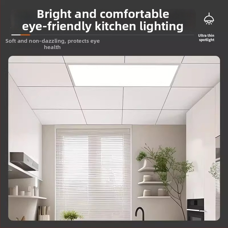 LED plakanā paneļa gaisma, P02, 220V, CRI 80, alumīnija sakausējums