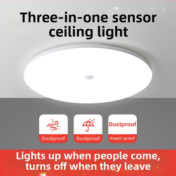 Lubų šviestuvas (LED, judesio jutiklis, 220V, aprėptis 10–15 m²)