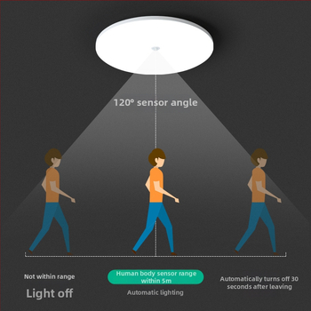 Lubų šviestuvas (LED, judesio jutiklis, 220V, aprėptis 10–15 m²)