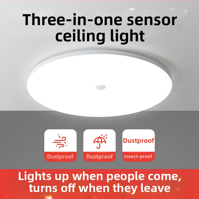 Lubų šviestuvas (LED, judesio jutiklis, 220V, aprėptis 10–15 m²)