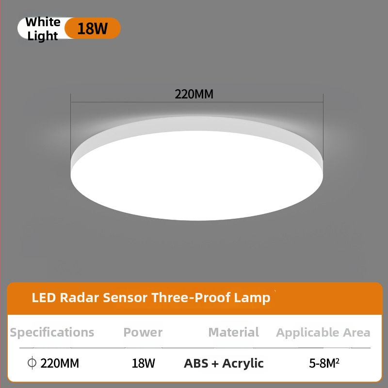 Lubų LED jutiklinis šviestuvas su balso valdymu koridoriui ir laiptams – 220V, 5-10 m² aprėptis, judesio jutiklis