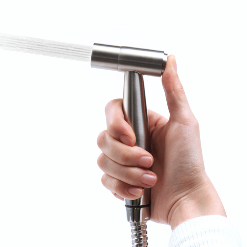 304 roostevabast terasest nupud pritsimise komplekt toaletile, ilma puurimiseta, rõhuotsuum