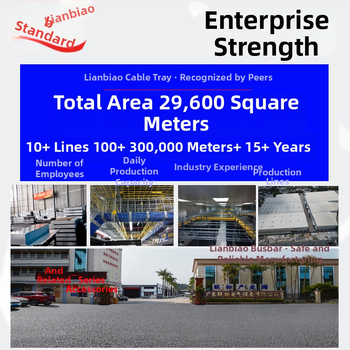 Cinkirana metalna kutija za spojnice CK model za gradilište, ISO 9001 certificirano