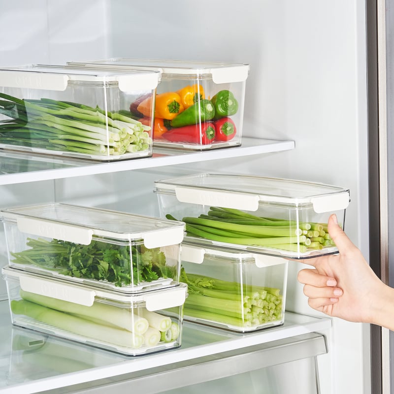 Japonijos stiliaus plastikinė šaldytuvo krisperio dėžutė – nešiojama, išlaiko šviežumą