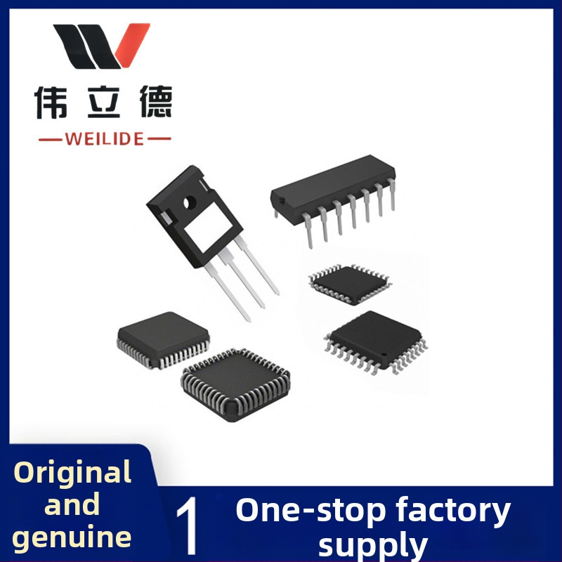 Weilide AD644JHAD644 integruotas grandynas, DIP korpusas, CAN8 sąsaja